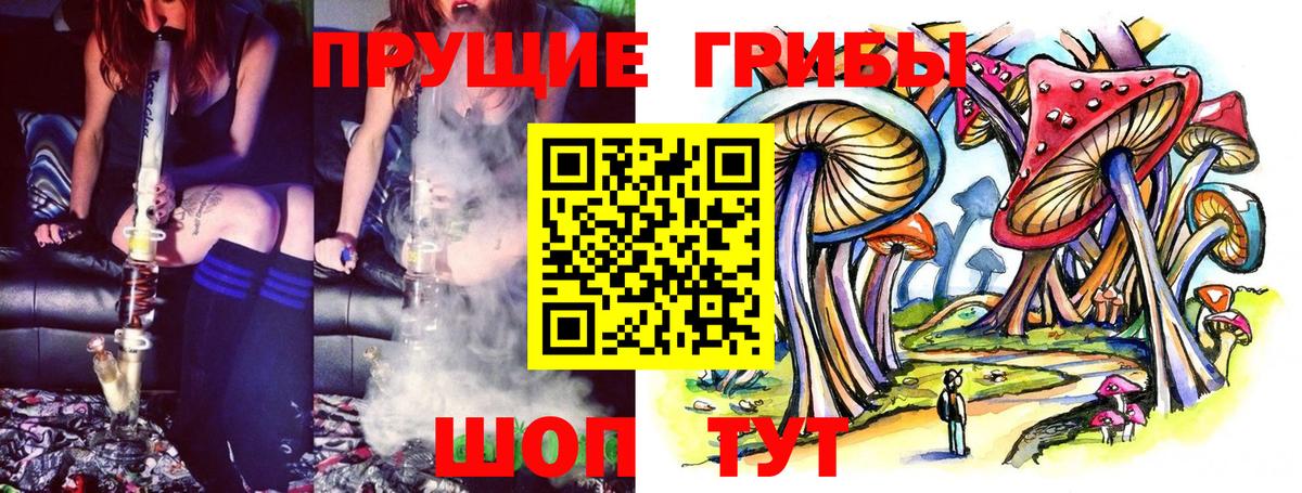 Галлюциногенные грибы Psilocybine cubensis  как найти   Вход с VPN  Азов  Галлюциногенные грибы GOLDEN TEACHER 